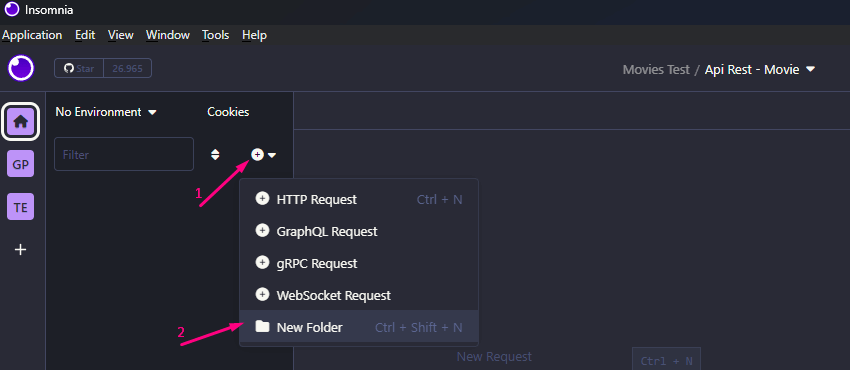 Selecionado a opção para criar pasta para inserir apis