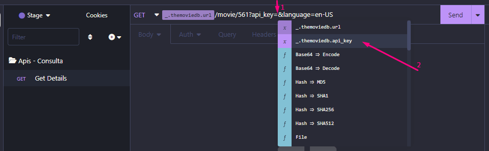 Demonstrando a variavel api-key criada no ambiente para inserção