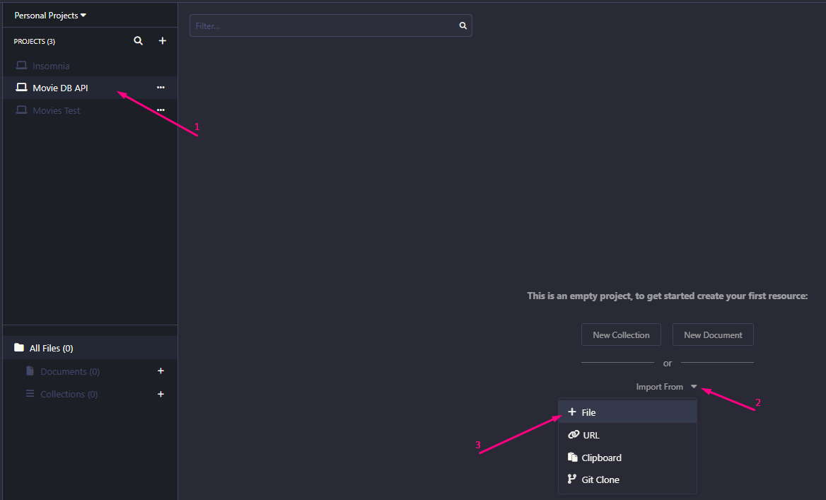 Selecionado o projeto e clicando na opção de import file