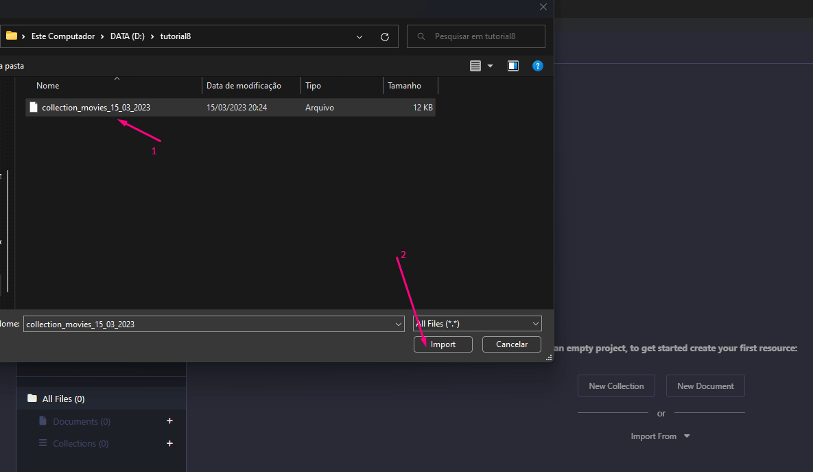 Selecionando pasta que contem o arquivo com collection e clicando em import